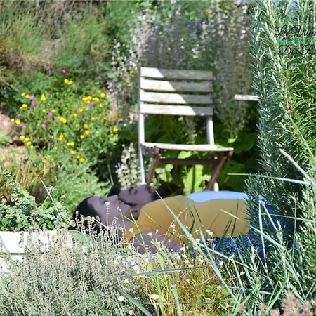 Chambres D'Hotes & Spa La Villa Des Raspes - Adults Only-2